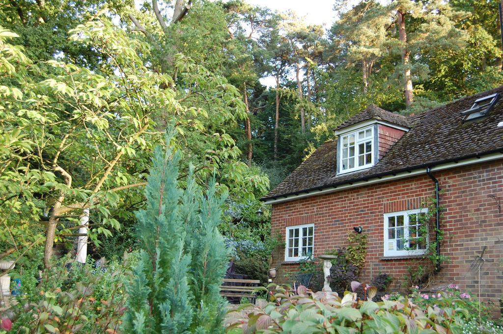 The Haven At Talysarn Appartement Ascot  Kamer foto